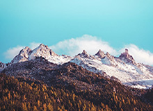 以“大发官网入口”为主题，开启安全合规的娱乐新体验